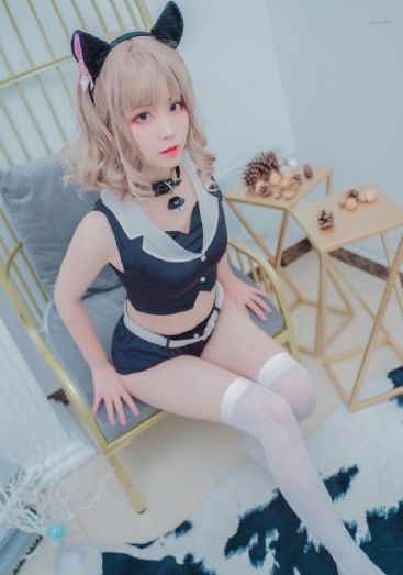 欧美冬青树的果实图片_720手机在线看