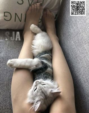 欧美中文字幕的电视剧_高清电影完整版在线观看